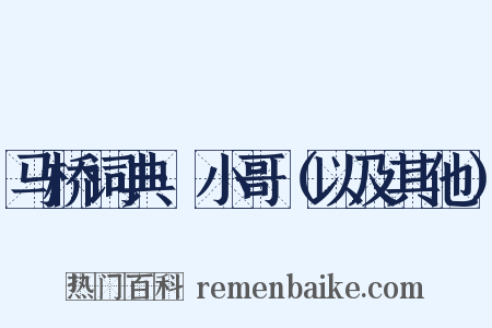 马桥词典·小哥（以及其他）是什么意思的图片